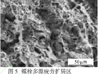 圖5螺栓多源疲勞擴(kuò)展區(qū)