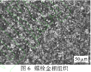 圖6螺栓金相組織