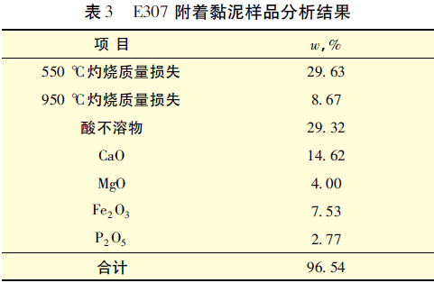 表3 E307 附著黏泥樣品分析結(jié)果